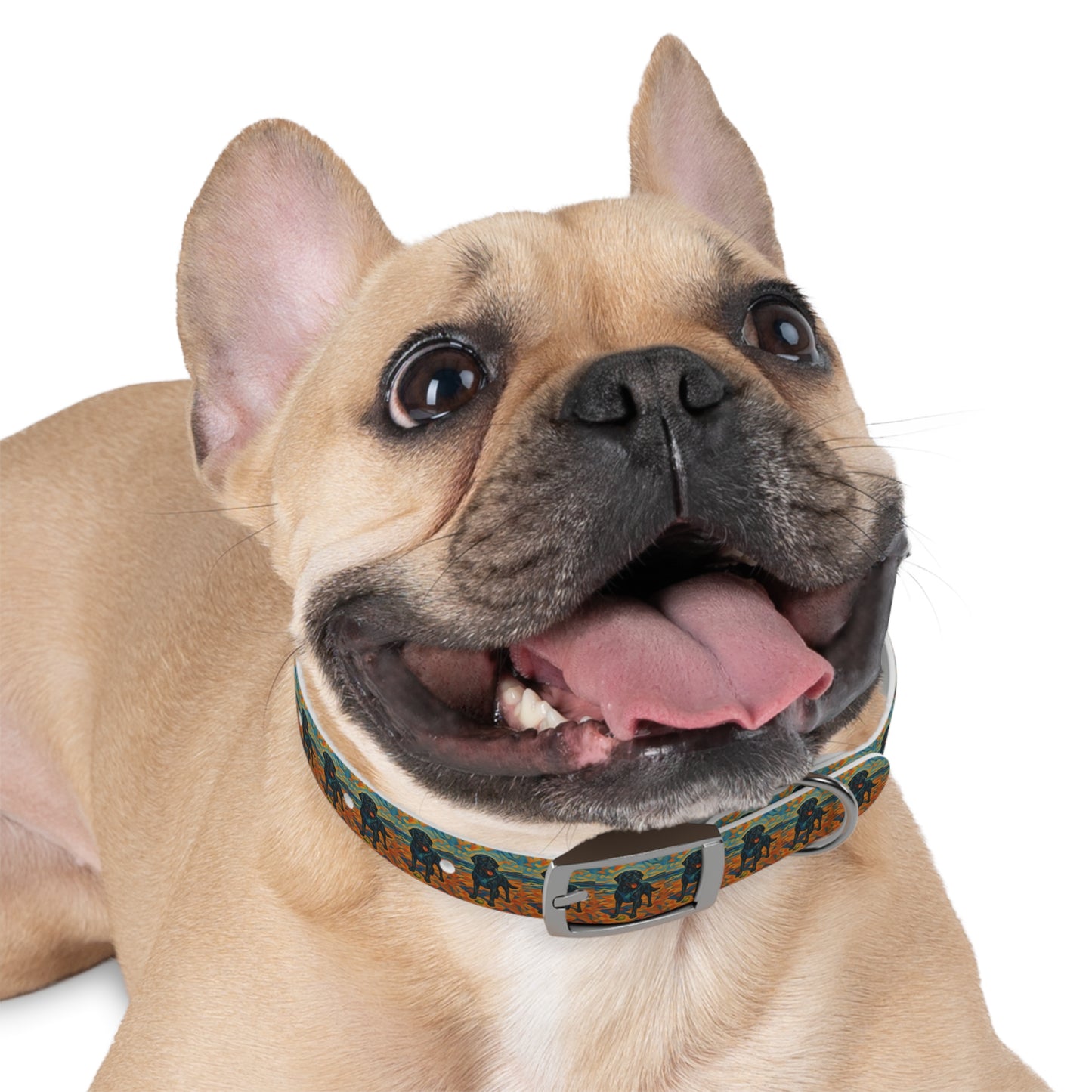 Vibrant Dog Collar with Playful Dog Design | Stylish Pet Accessory