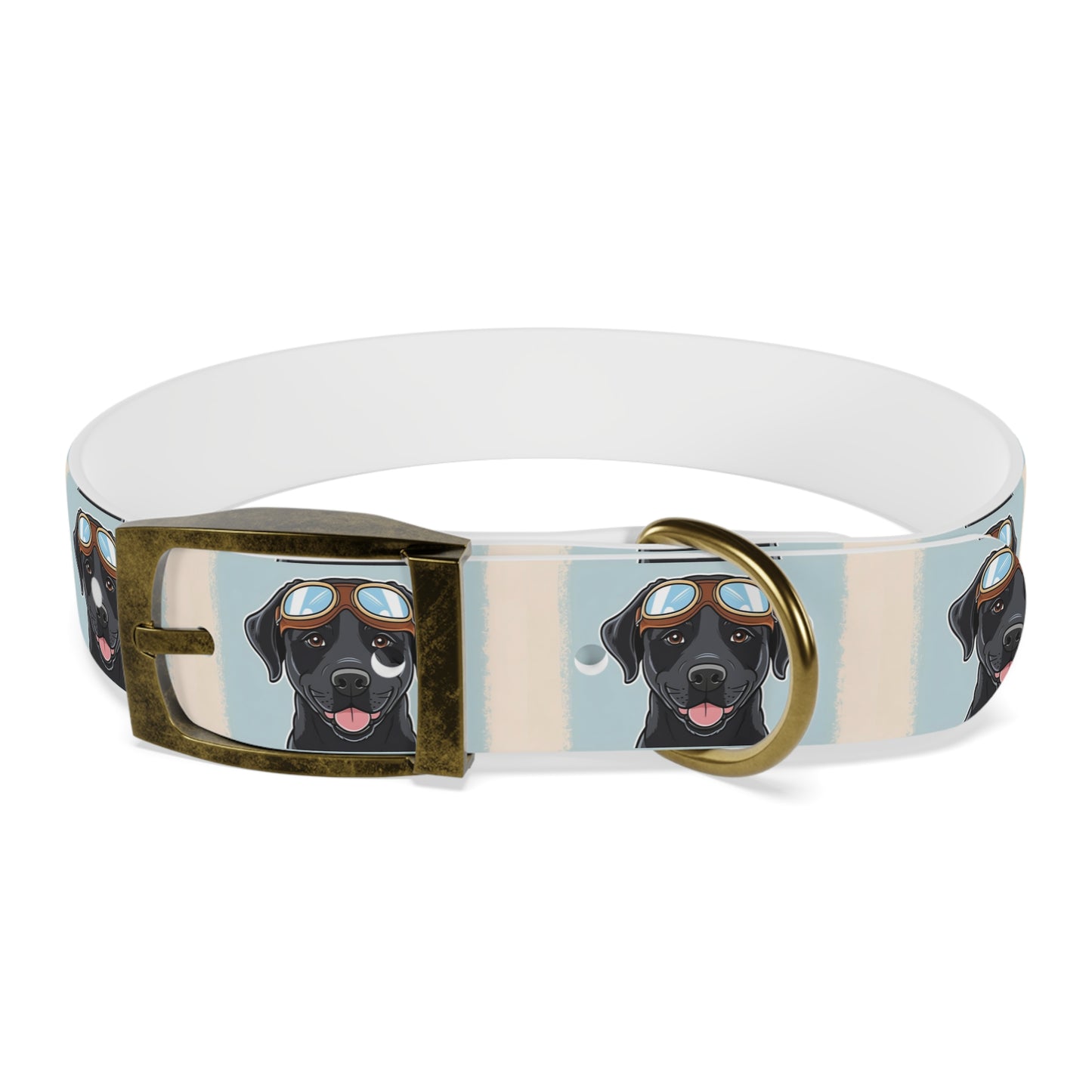 Stylish Moto Dog Inspired Collar