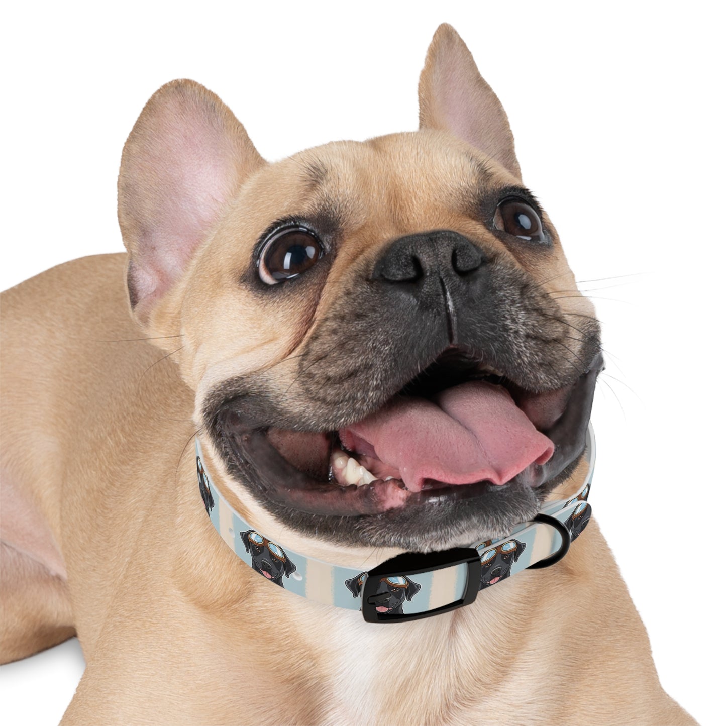 Stylish Moto Dog Inspired Collar