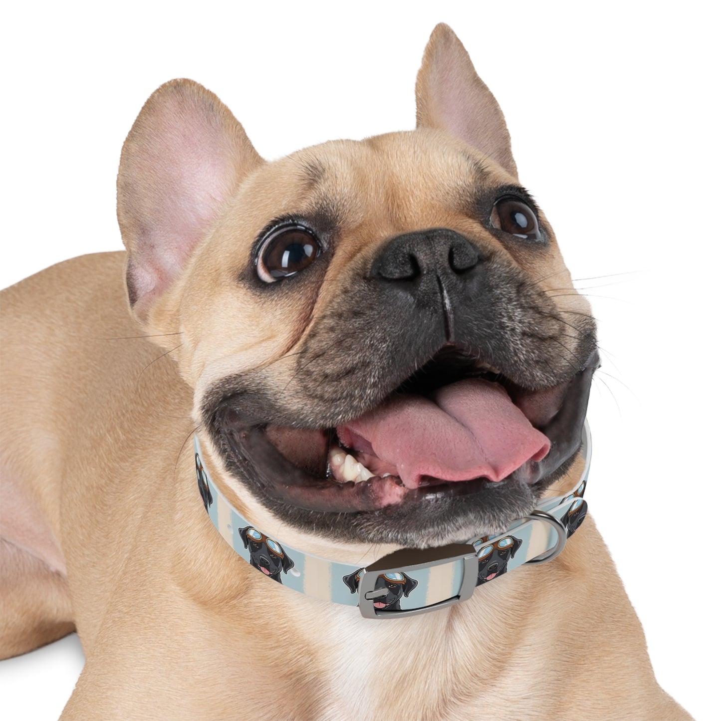 Stylish Moto Dog Inspired Collar