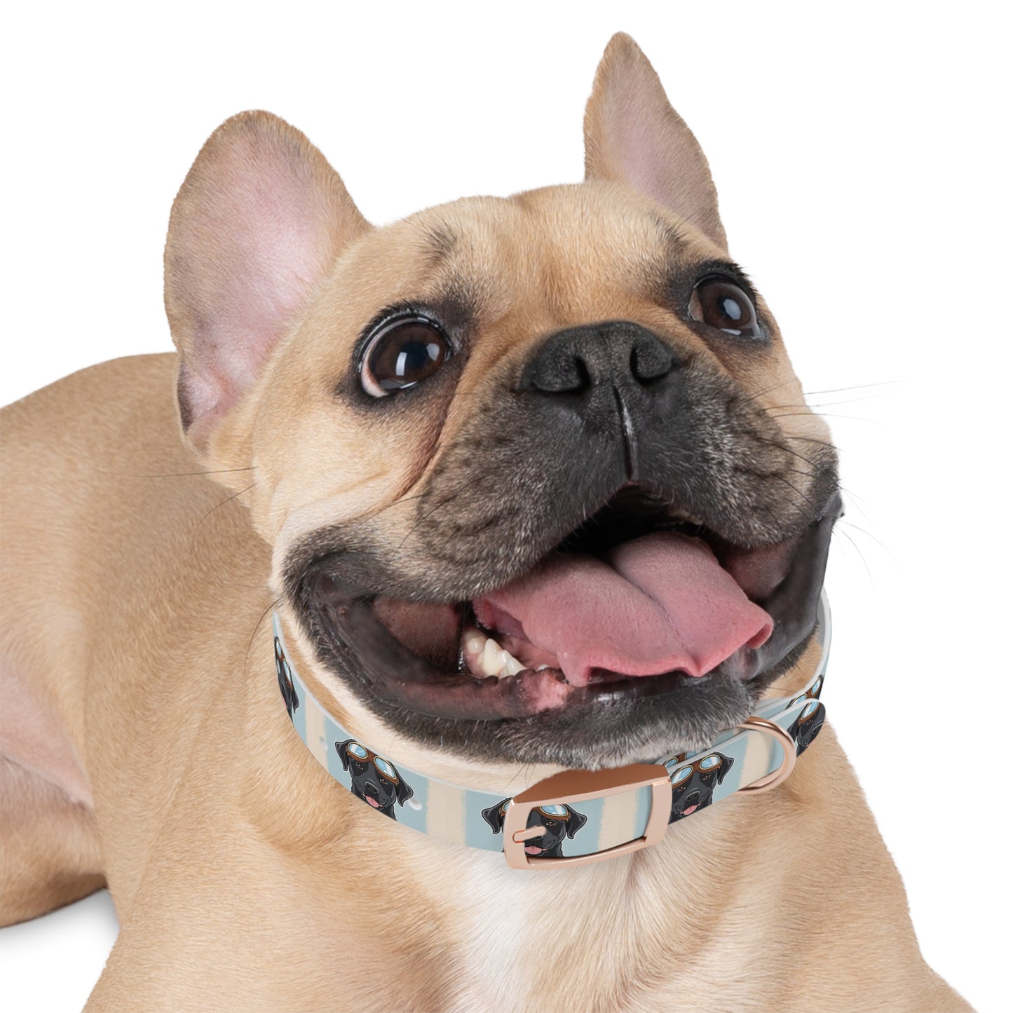 Stylish Moto Dog Inspired Collar
