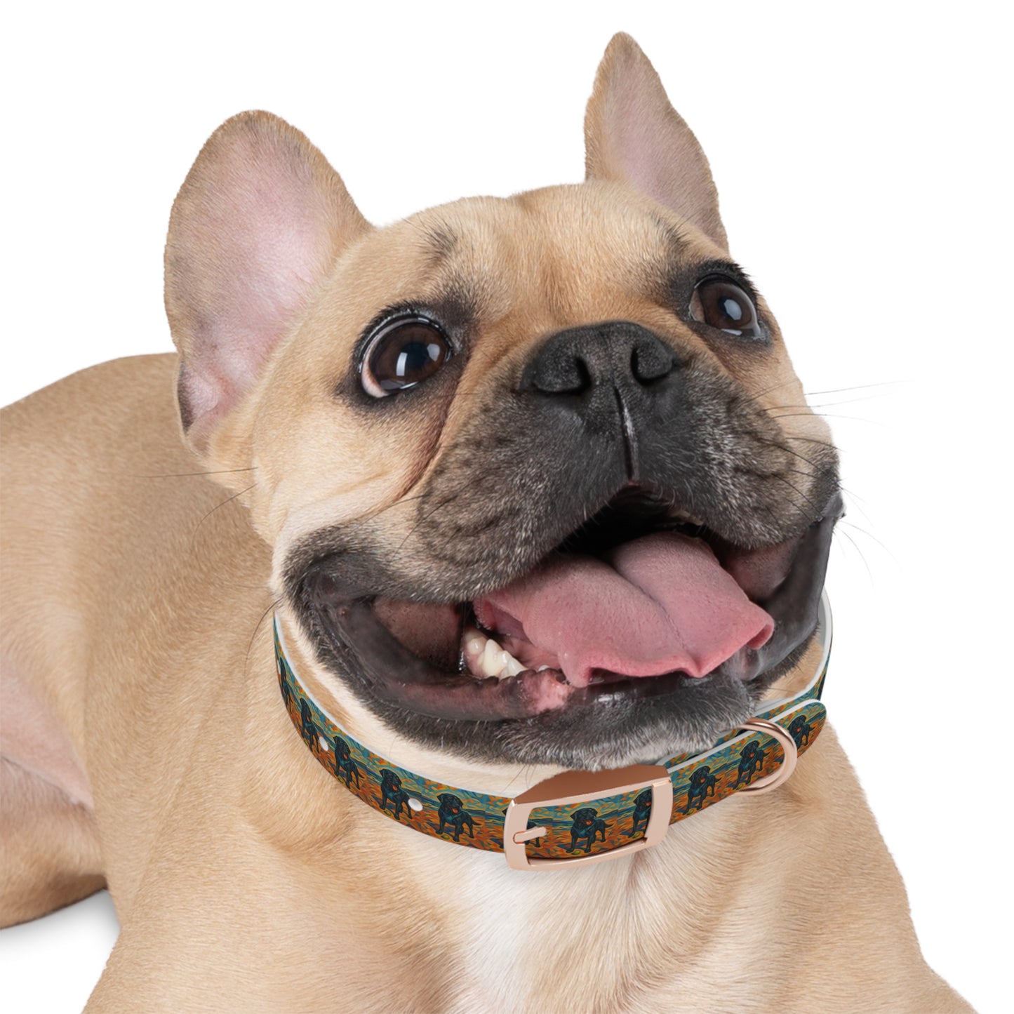 Vibrant Dog Collar with Playful Dog Design | Stylish Pet Accessory