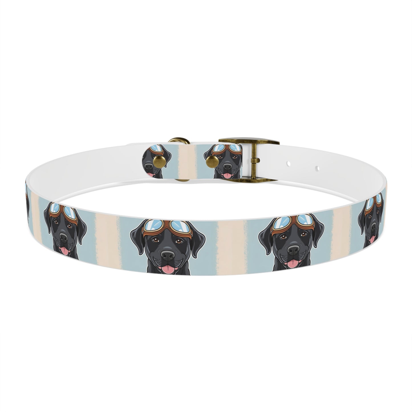 Stylish Moto Dog Inspired Collar