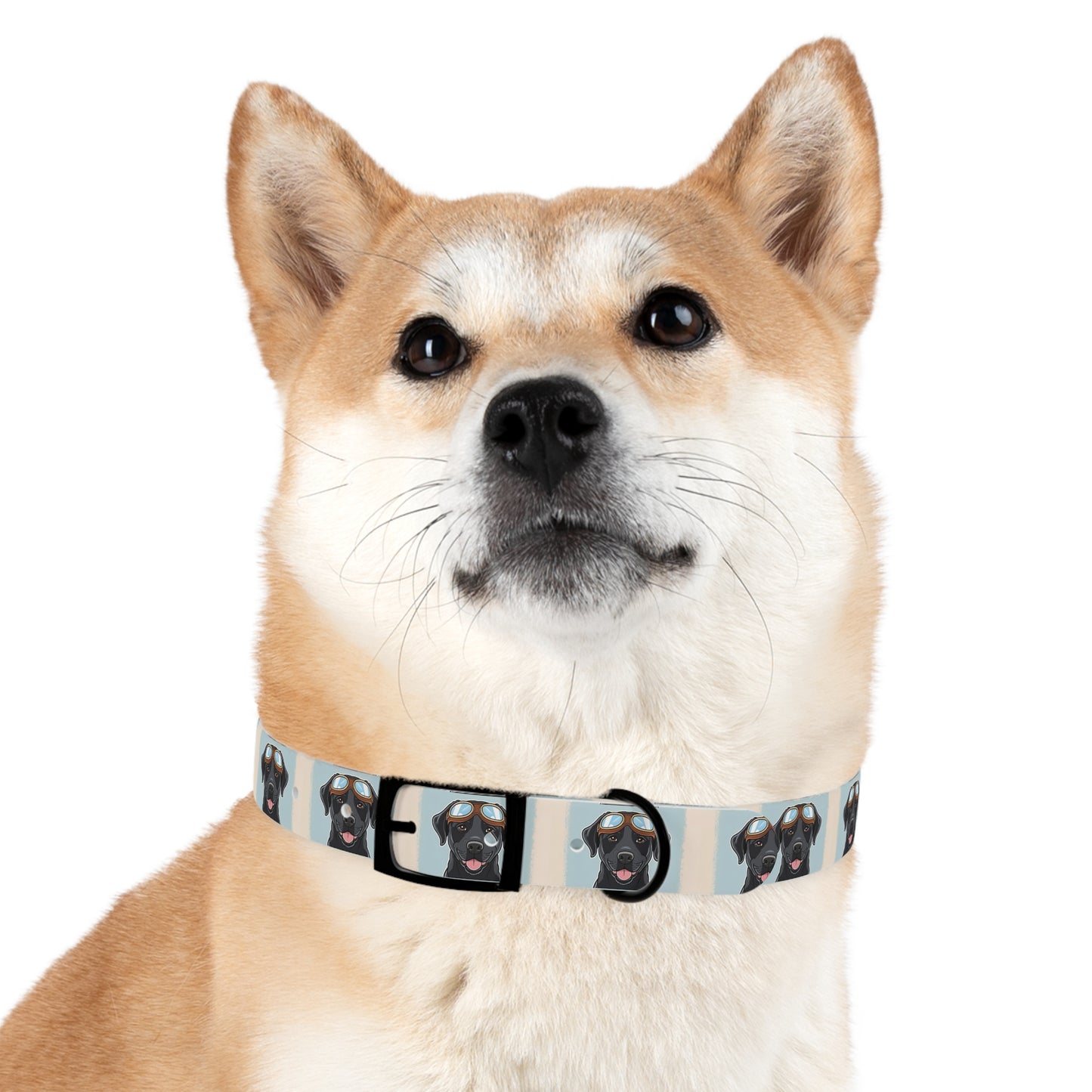 Stylish Moto Dog Inspired Collar