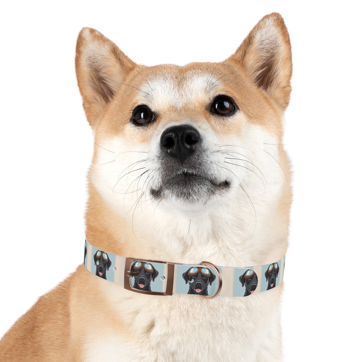 Stylish Moto Dog Inspired Collar