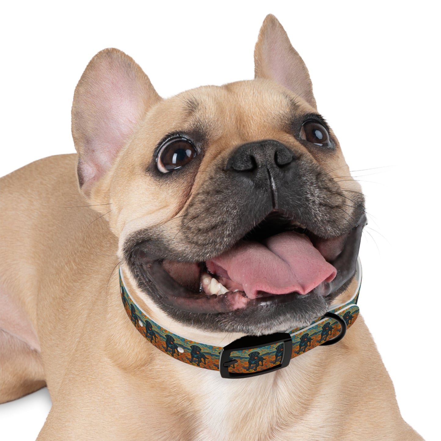 Vibrant Dog Collar with Playful Dog Design | Stylish Pet Accessory