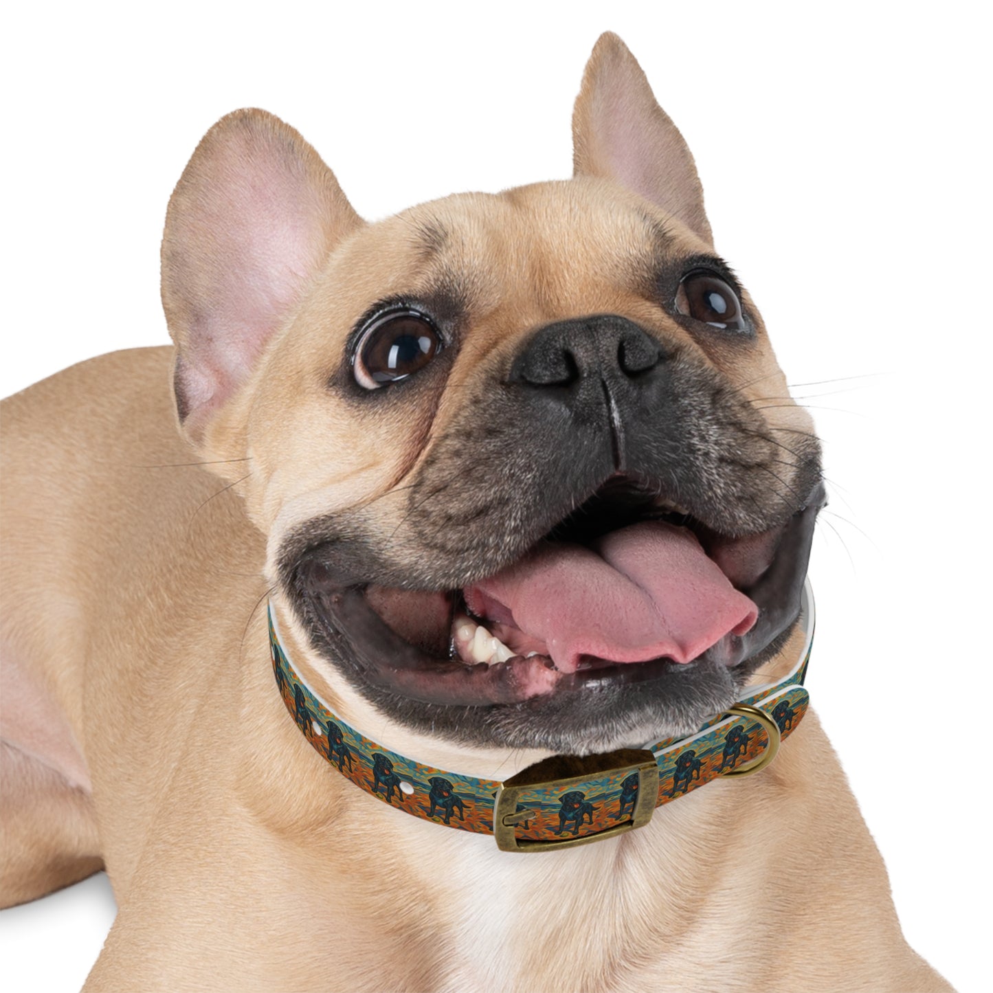 Vibrant Dog Collar with Playful Dog Design | Stylish Pet Accessory